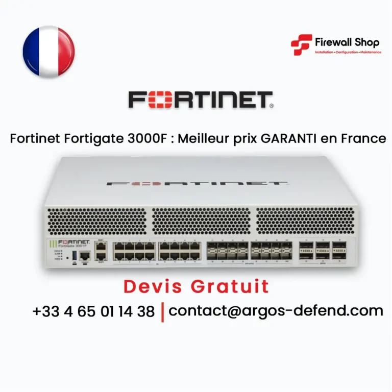 Fortigate 3000G France